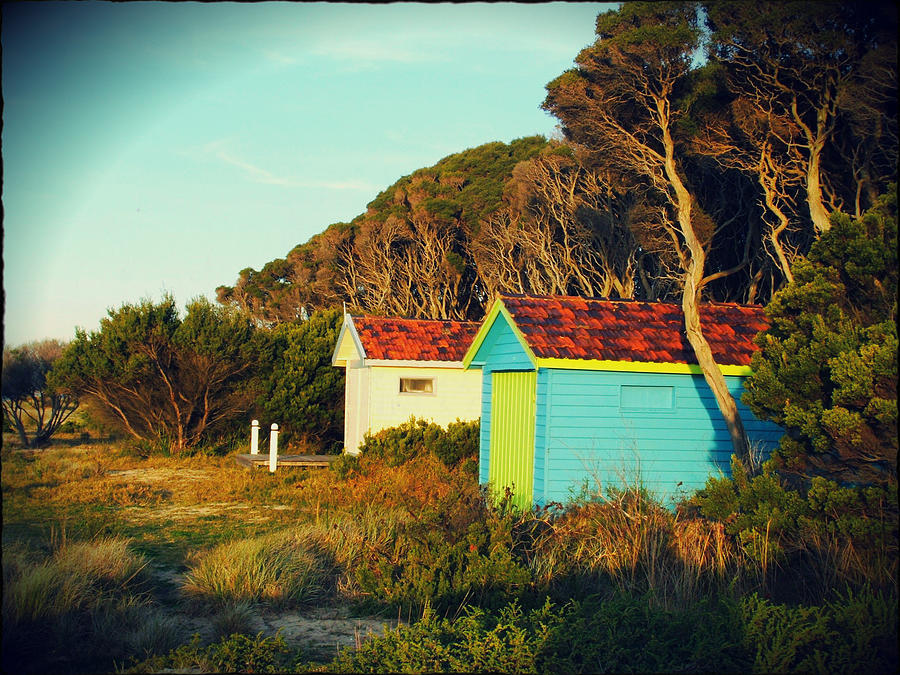Bright Beach Huts Photograph by Therese Alcorn
