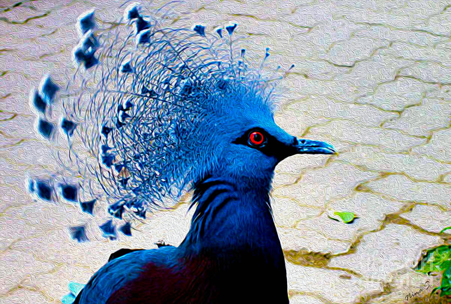 Bright Blue Bird 2 Photograph by Nina Silver