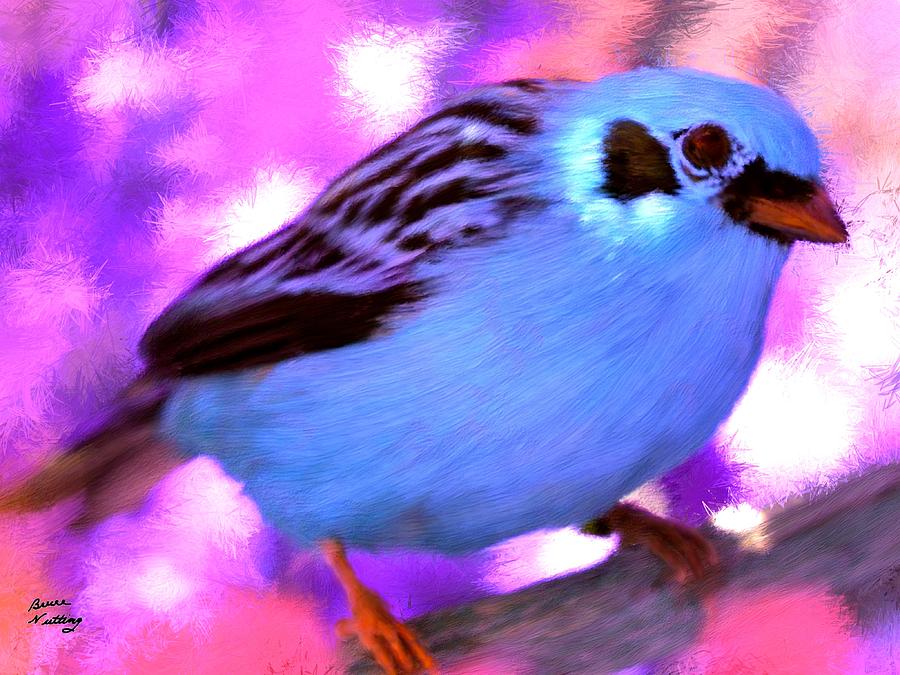 Bright Blue Finch Painting by Bruce Nutting
