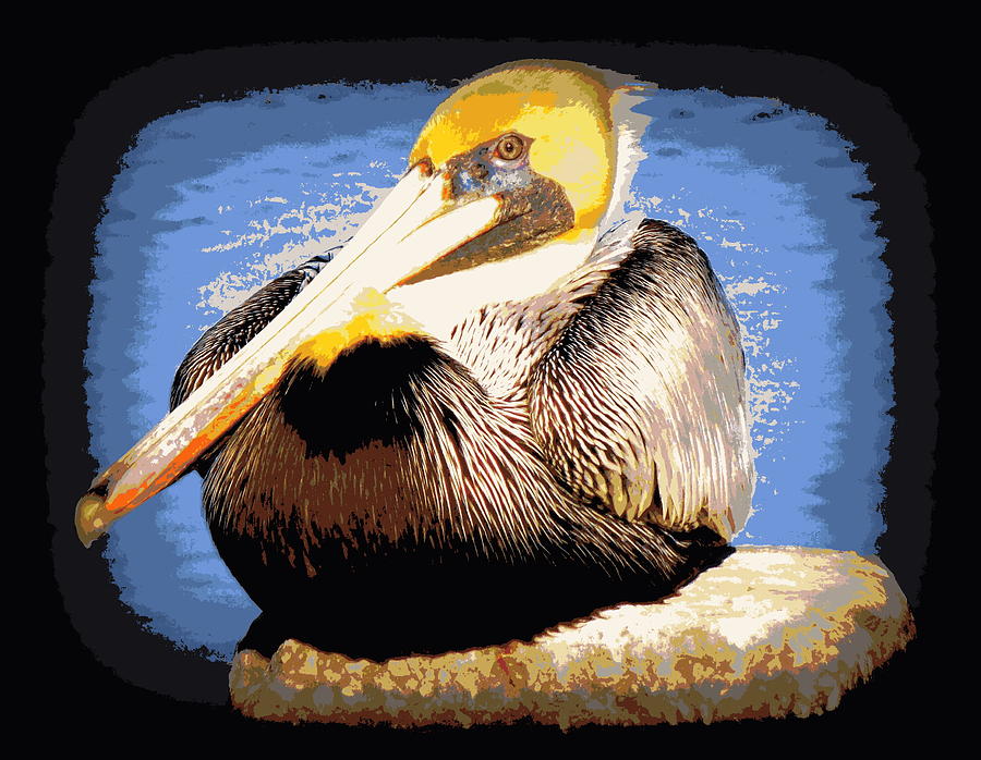 Bright Blue Water Brown Pelican Photograph by Sheri McLeroy