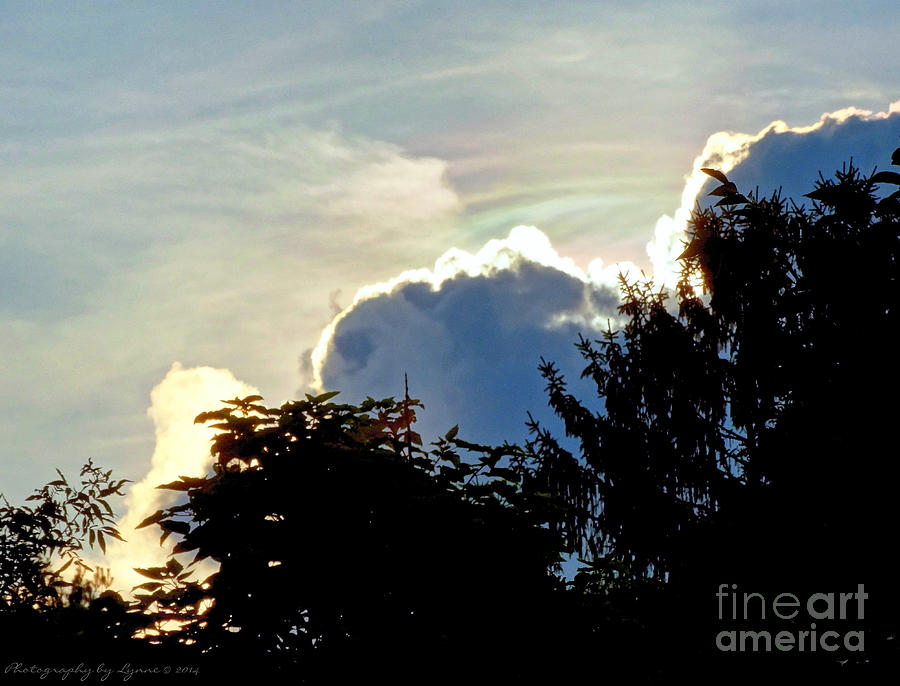 Bright Clouds Photograph
