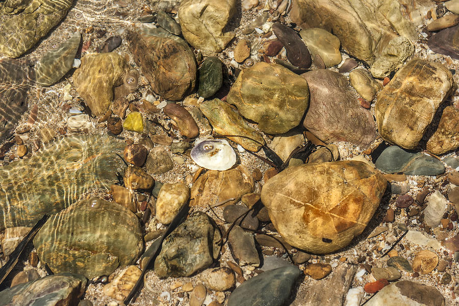 Nature Photograph - Bright Colored Stones in a Rock Pool  by Georgia Clare