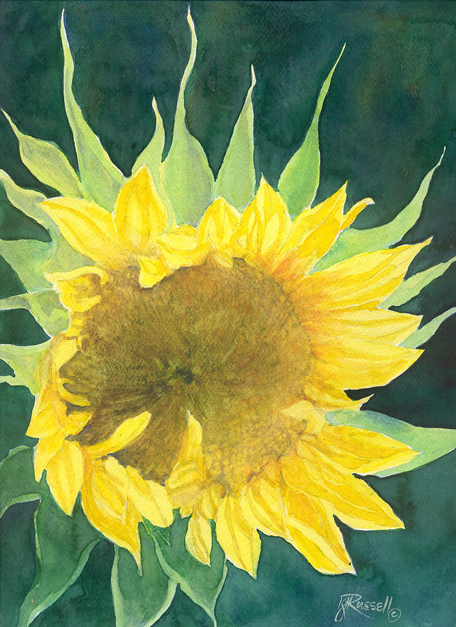 Bright Colorful Sunflower Watercolor Painting by K Joann Russell