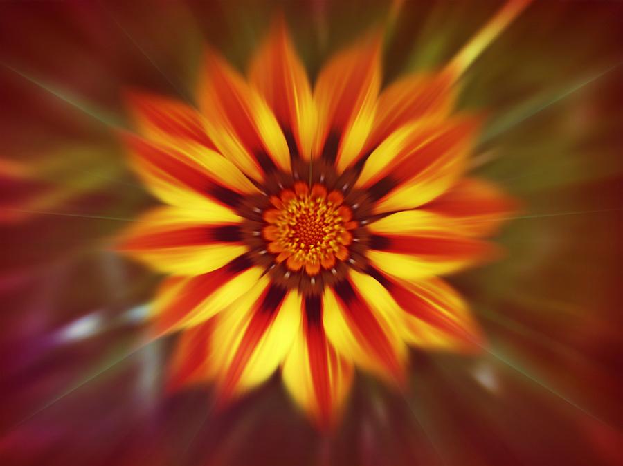 Bright eye flower Digital Art by Lilia S