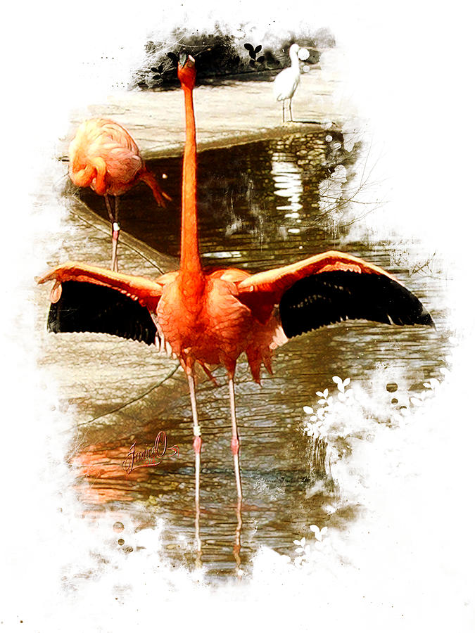 Bright Flamingo Orange Digital Art by Janice OConnor