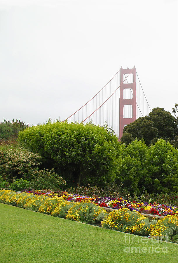 Bright Flowers at the Golden Gate Photograph by Connie Fox