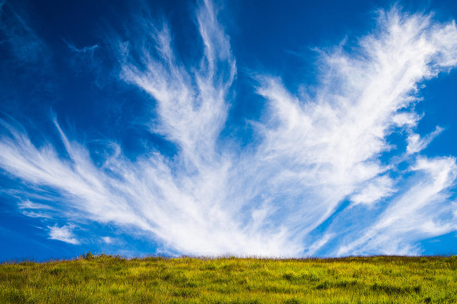 Bright green meadow and deep blue sky Photograph by Matthias Hauser ...