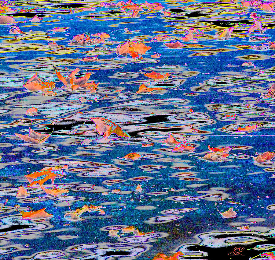 Bright Leaves Blue Water Photograph by Stephanie Grant