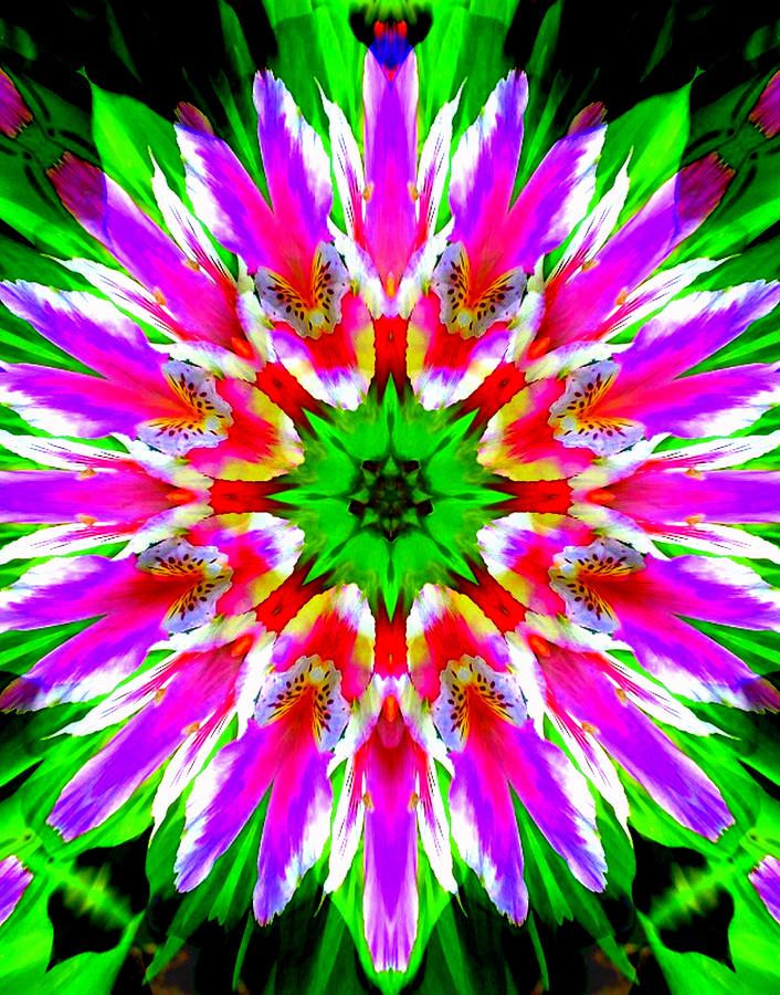Bright Lily Kaleidoscope 1 Photograph by Sheri McLeroy