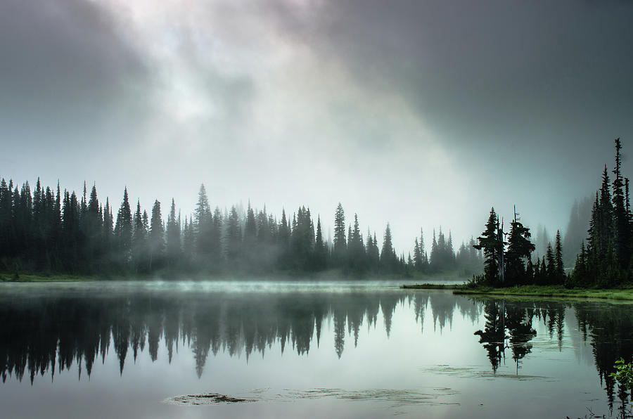 Nature Photograph - Bright Mist And Trees Reflected In A by Brian Xavier Photography