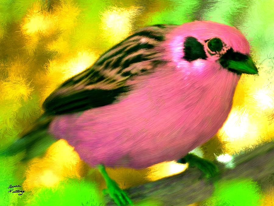 Bright Pink Finch Painting by Bruce Nutting