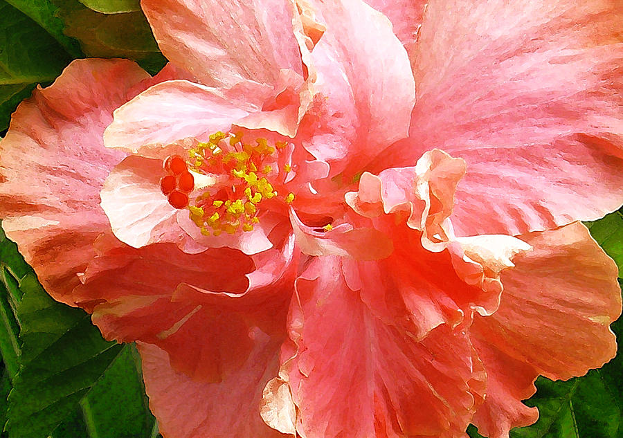 Bright Pink Hibiscus Digital Art by James Temple