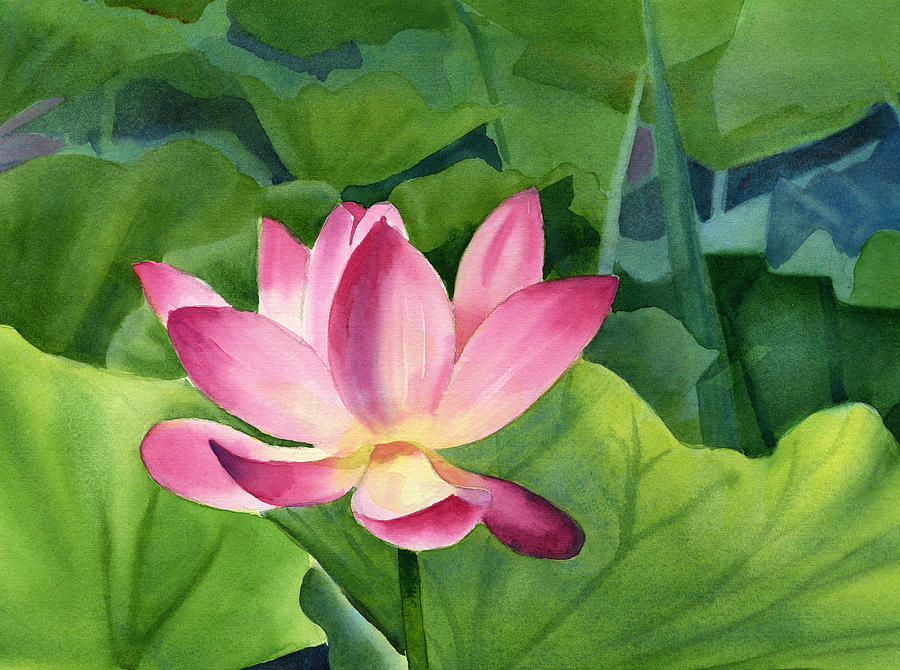 Nature Painting - Bright Pink Lotus Blossom by Sharon Freeman