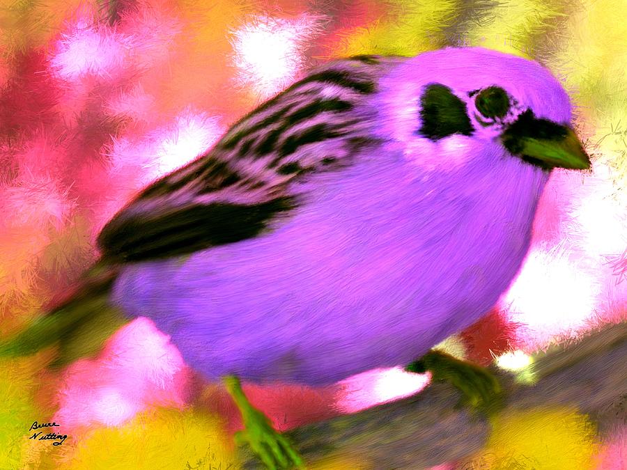 Bright Purple Finch Painting by Bruce Nutting