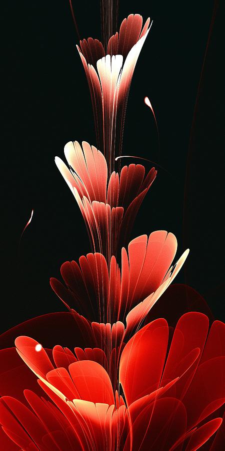 Nature Digital Art - Bright Red by Anastasiya Malakhova