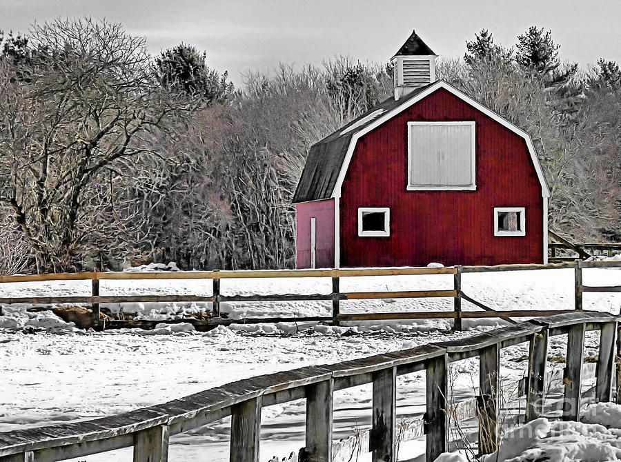 Winter Photograph - Bright Red by Janice Drew