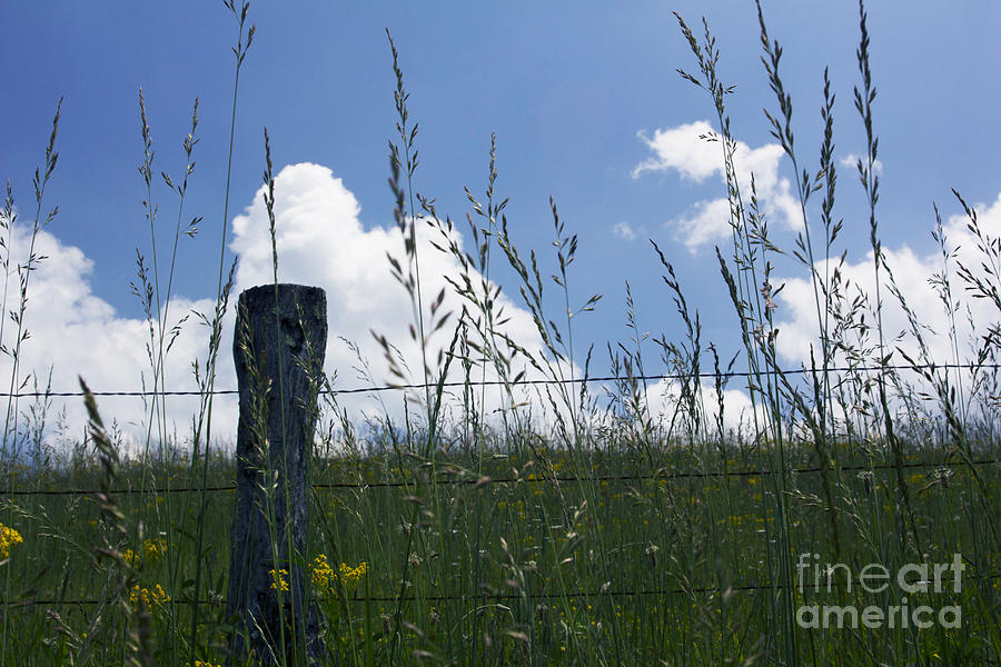 Blue Sky Cades Cove by Cynthia Mask Blue Sky Cades Cove by Cynthia Mask