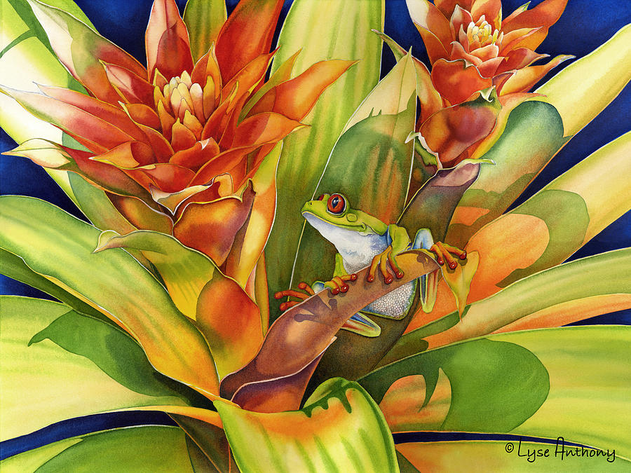 Frog Painting - Bright Stars by Lyse Anthony