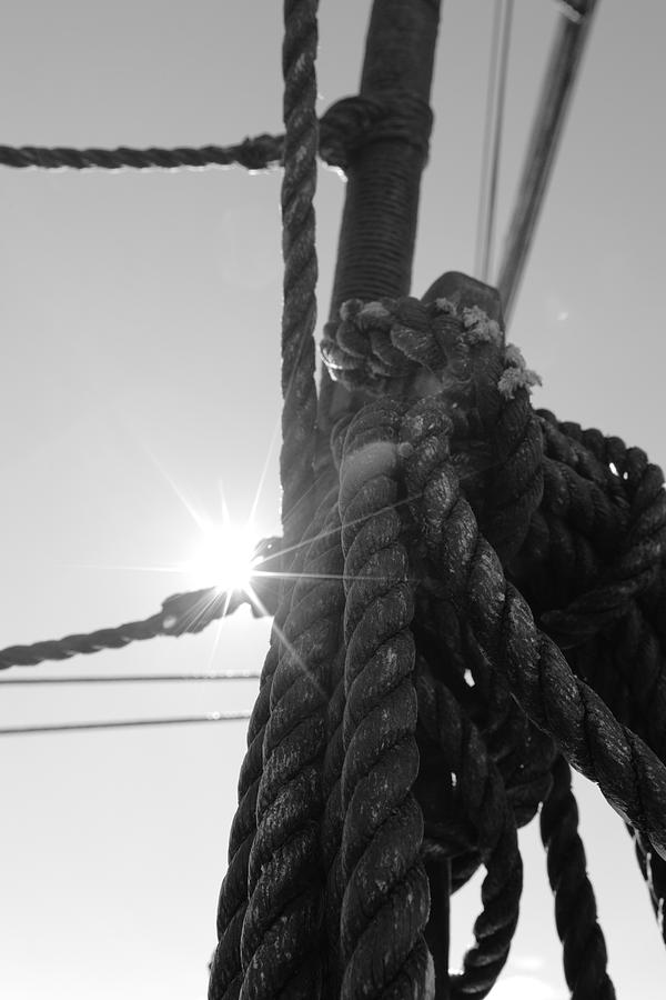 Bright Sun And Coiled Rope Photograph