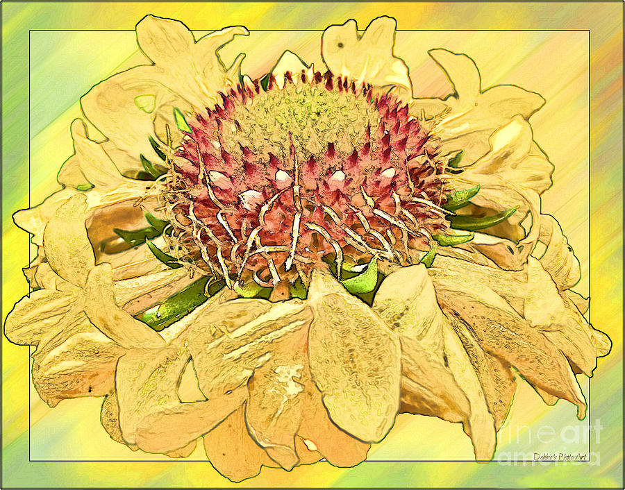 Bright Yellow and Red Blanked Flower II -  Digital effect Photograph by Debbie Portwood