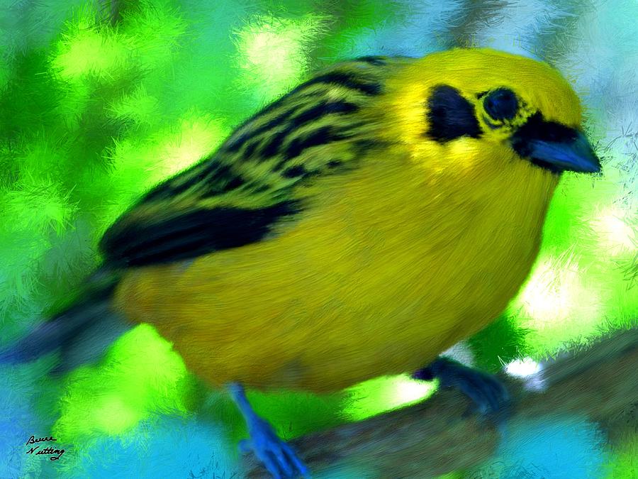 Bright Yellow Finch Painting by Bruce Nutting