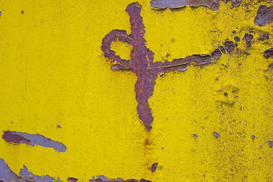 Bright Yellow Texture Photograph by Cathy Anderson