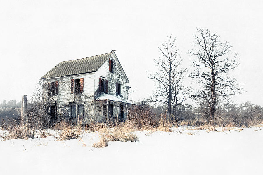 Tree Photograph - Brighter Days - The Abandoned Farmhouse of a Serial Killer by Gary Heller