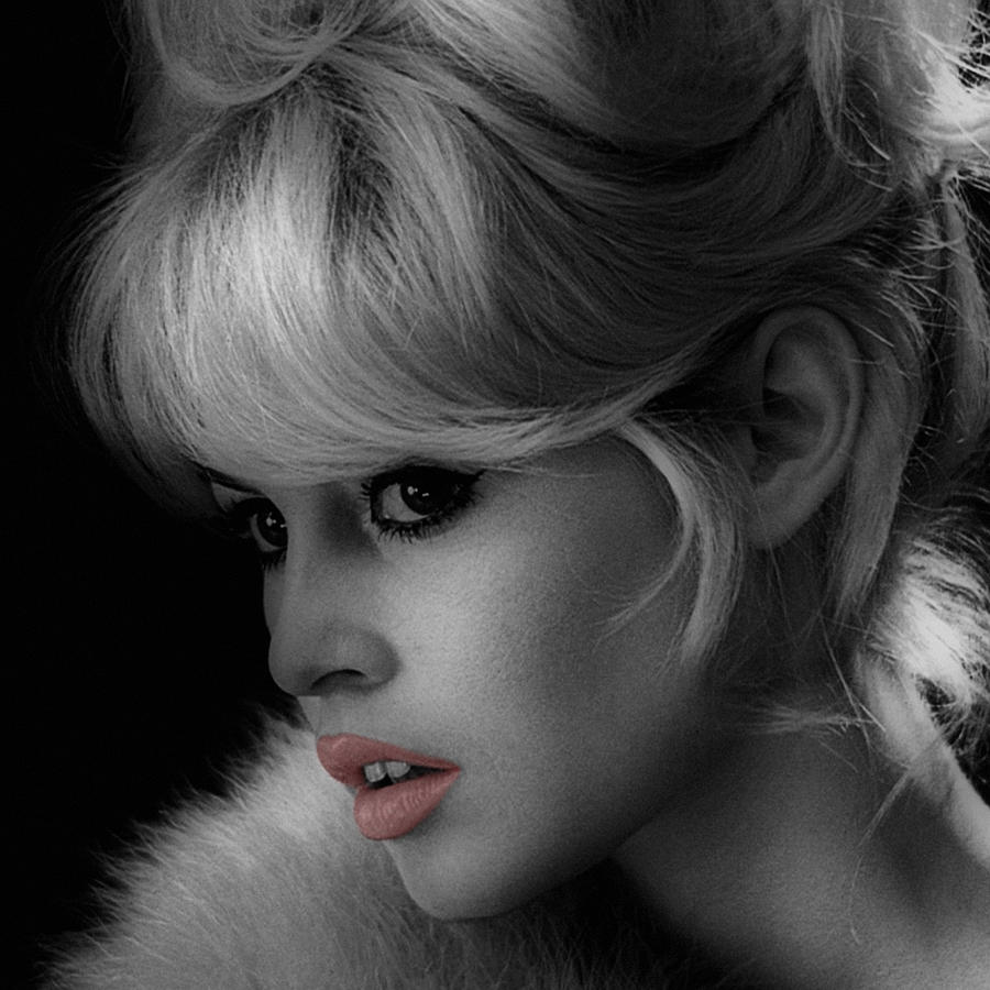 Brigitte Bardot Photograph by Andrew Fare