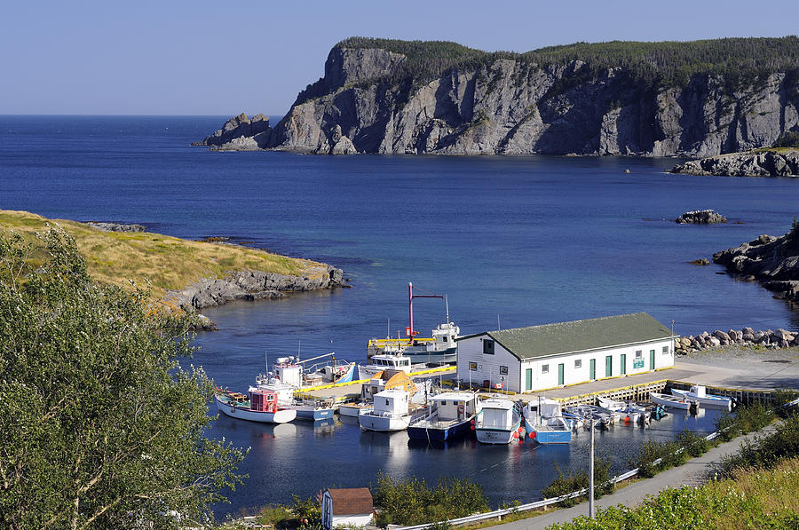 Brigus South Newfoundland Photograph by Norman Pogson