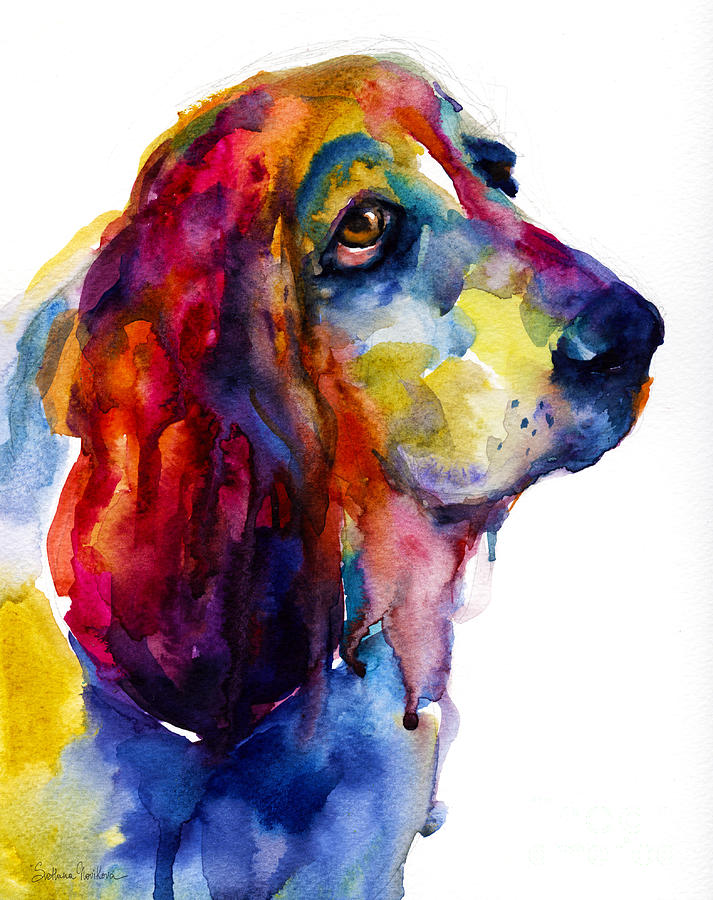 Brilliant Basset Hound watercolor painting Painting by Svetlana Novikova