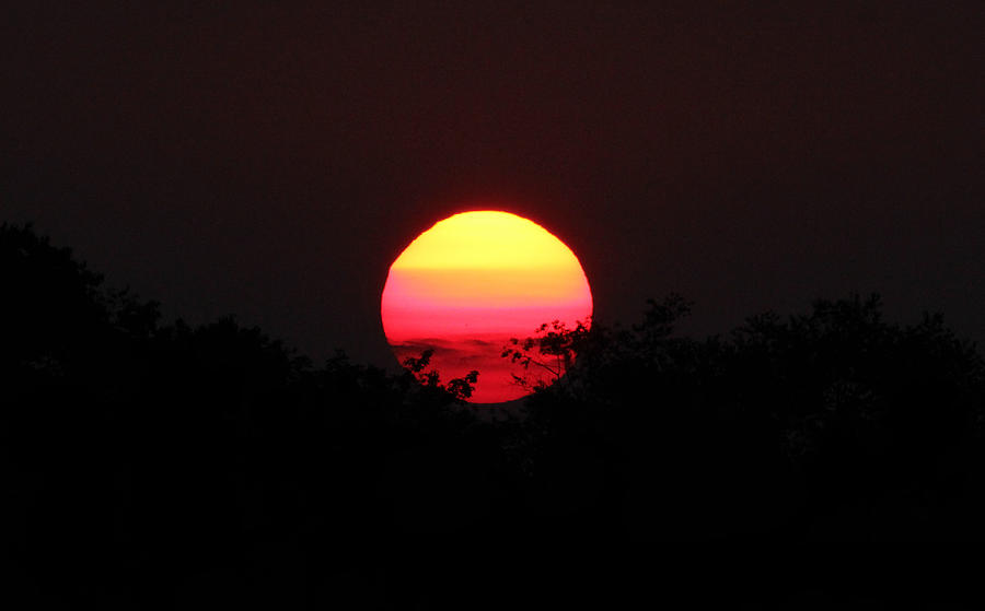 Sunset Photograph - Brilliant Colors At Dusk  by David  Jones