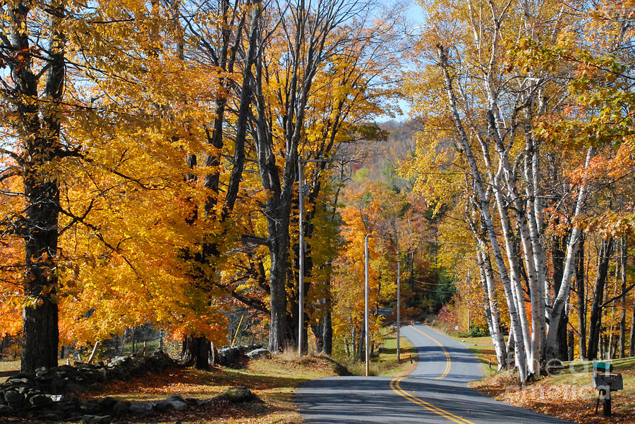 Fall Photograph - Brilliant Fall colors and country road near Marlboro Vermont by Robert Ford
