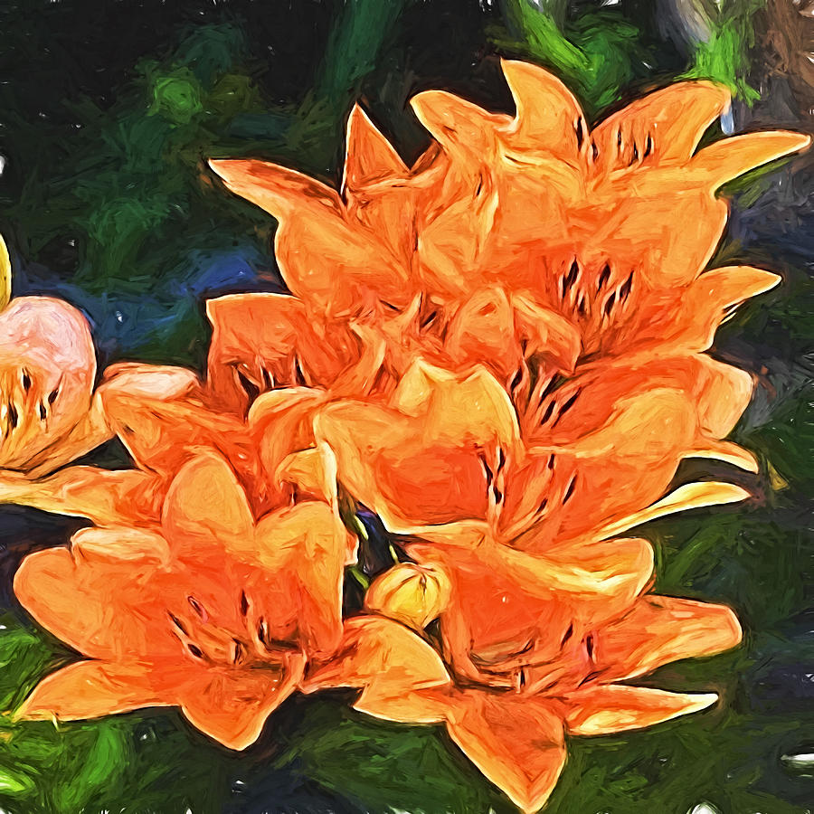 Brilliant Orange Lilies  Digital Art by Cathy Anderson