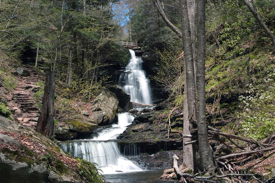 Brilliant Spring Day At Ozone Falls Photograph by Gene Walls