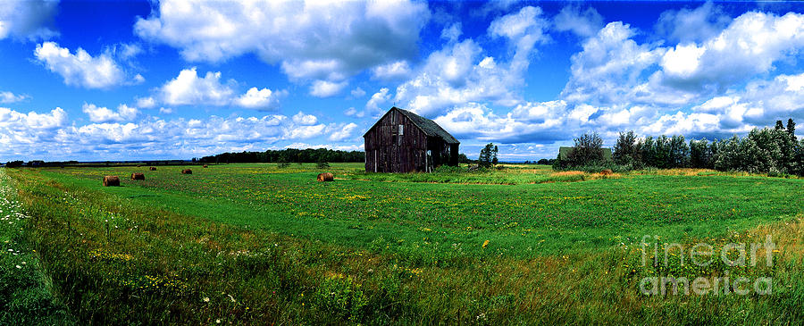 Brimley farm near  Sault Ste Marie Michigan  Photograph by Tom Jelen