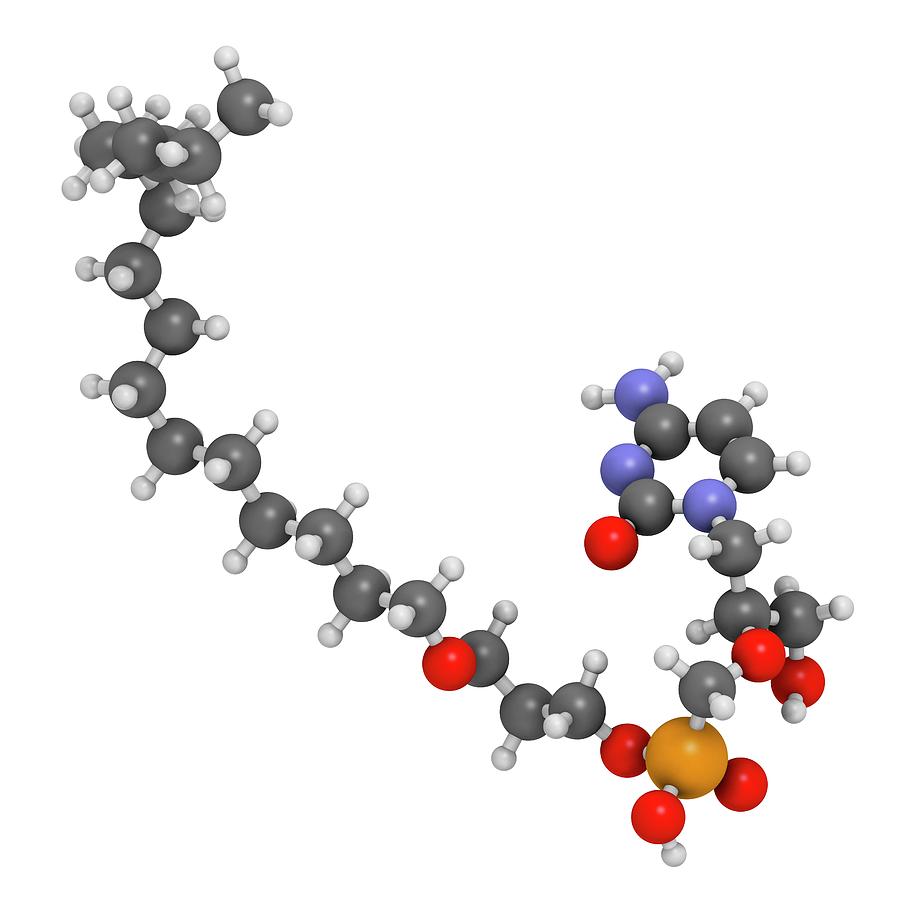 Brincidofovir Antiviral Drug Molecule Photograph by Molekuul