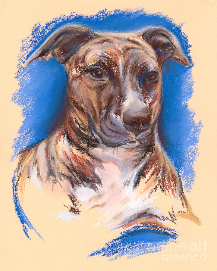Dog Pastel - Brindle Pit Bull Portrait by MM Anderson
