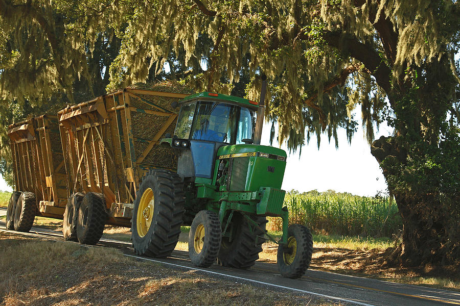 Bring Louisiana Sugarcane to the Sugar Mill Photograph by Ronald Olivier