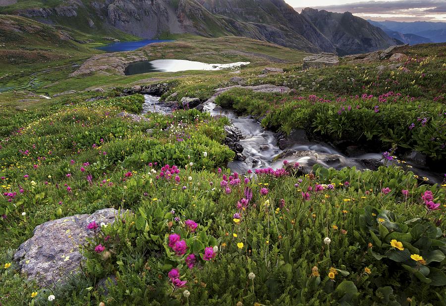 Bringing Life To Ice Lake Basin Photograph by Mike Berenson - Fine Art ...