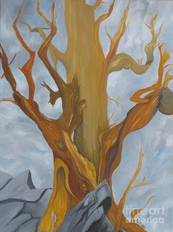 Bristelcone Pine Tree study #4 Painting by Richard Dotson