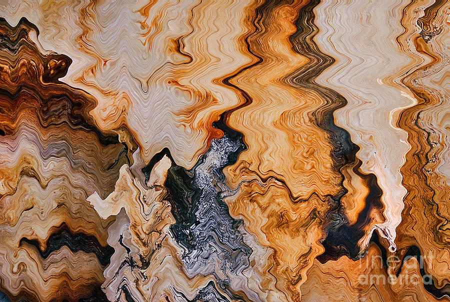 Bristlecone Pine Abstract Photograph by Mae Wertz