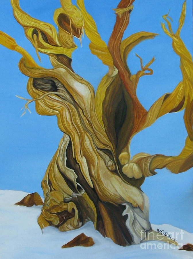 Bristlecone Pine Tree Study #3 Painting by Richard Dotson