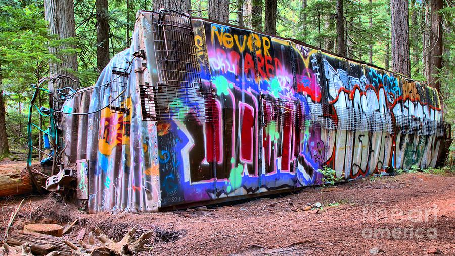 British Columbia Box Car Graffiti Photograph by Adam Jewell Fine Art