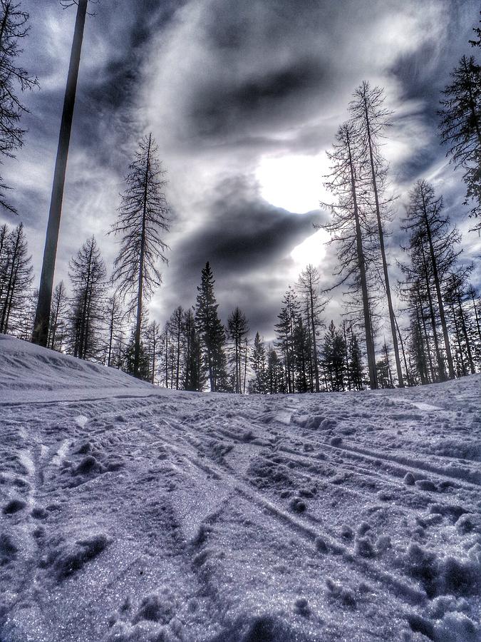 British Columbia Nordic Trail Photograph by Pat Moore