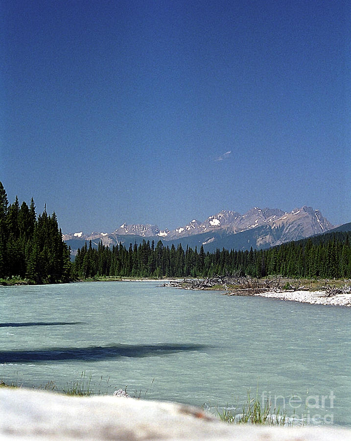 British Columbia Rockies Photograph by Sharon Elliott