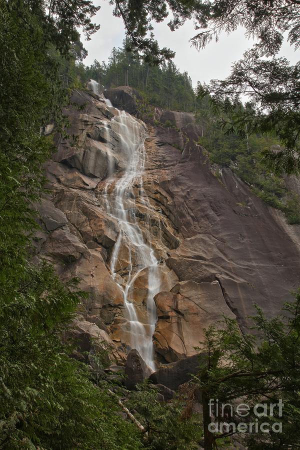 Waterfall Photograph - British Columbia Shannon Falls  by Adam Jewell