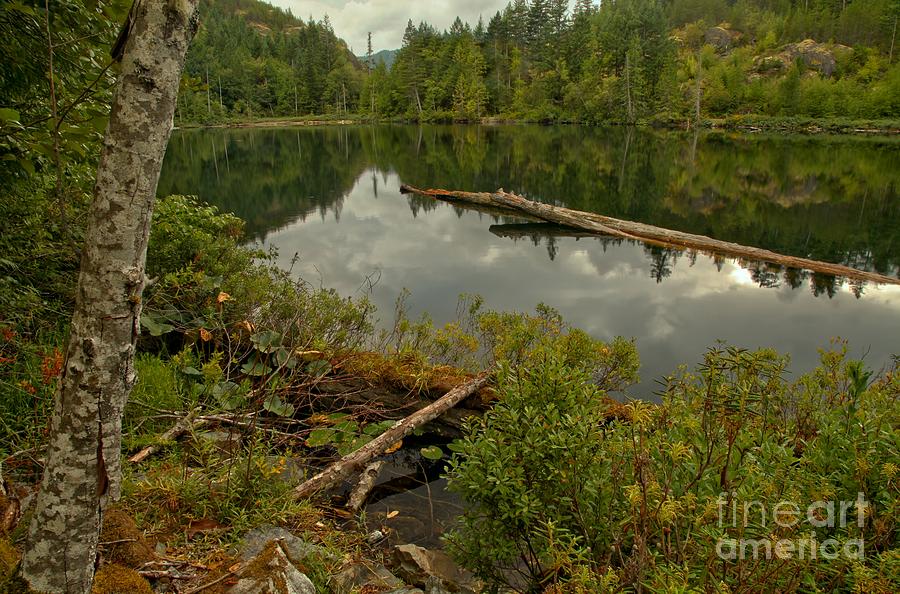 British Columbia Starvation Lake Photograph by Adam Jewell