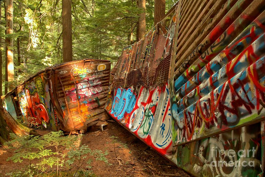 British Columbia Train Wreck Box Cars Photograph by Adam Jewell