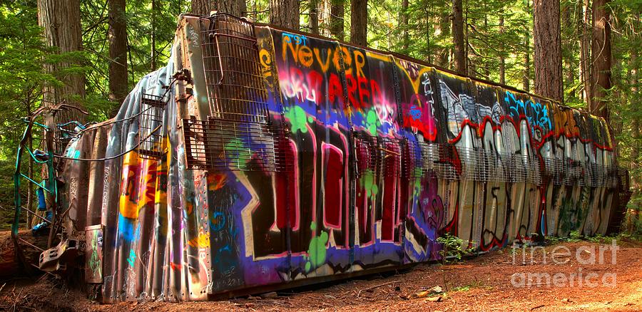 British Columbia Train Wreck Graffiti Photograph by Adam Jewell