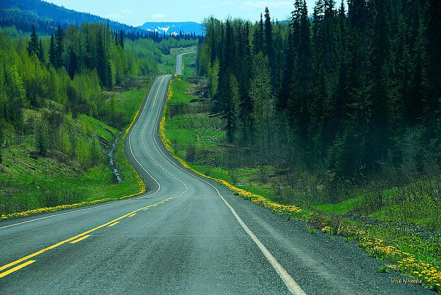 British Columbias Cassiar Highway   Photograph by Dyle   Warren
